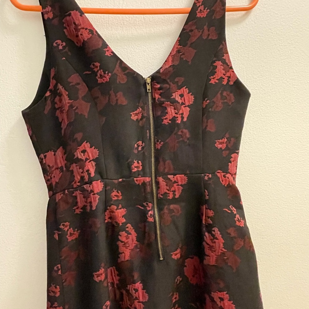 Jack. - Picture 4 of 11